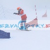 Hvězdy na sněhu - Harrachov